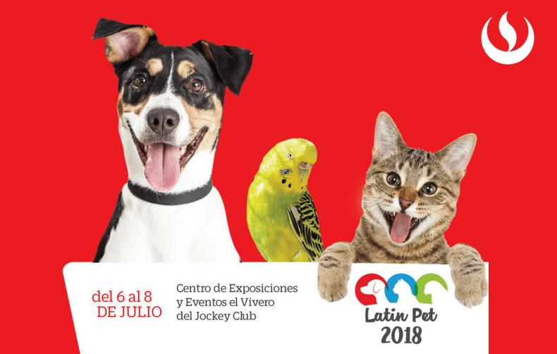 Latin Pet: charlas, shows y adopciones en el evento de mascotas más grande del país