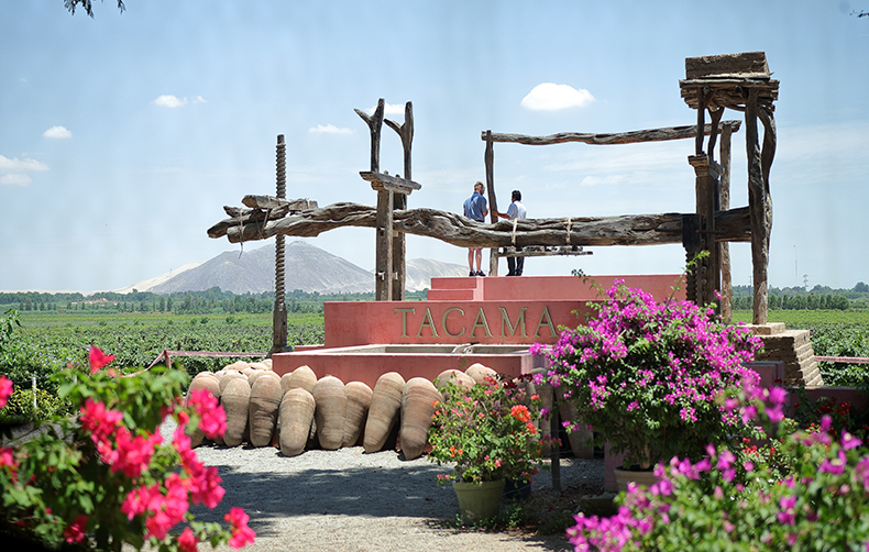 Viña Tacama: Experiencia vivencial enoturística