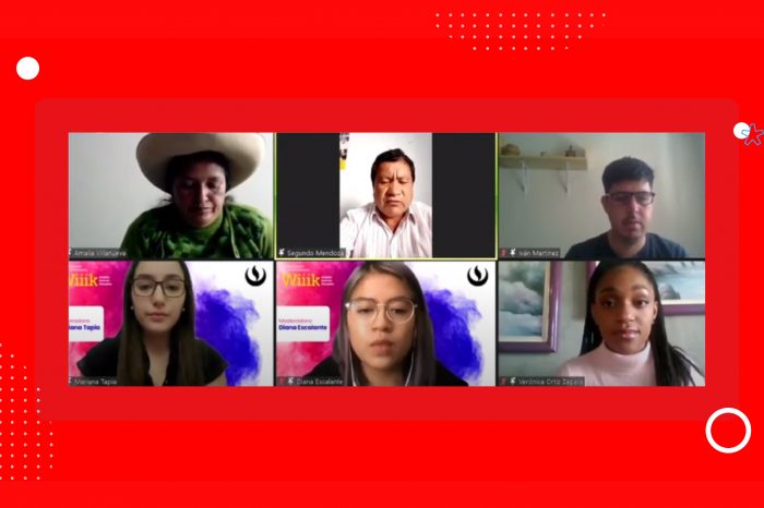 Estudiantes de Comunicación e Imagen Empresarial  conversaron con líderes comunales de Perú y México en #ImagenWiiik