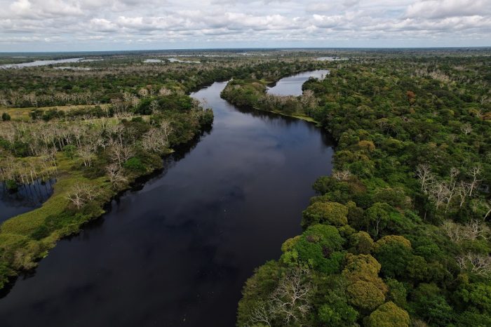 UPC organiza el “I Concurso Virtual de Proyectos de Desarrollo Turístico en la Cuenca Amazónica”