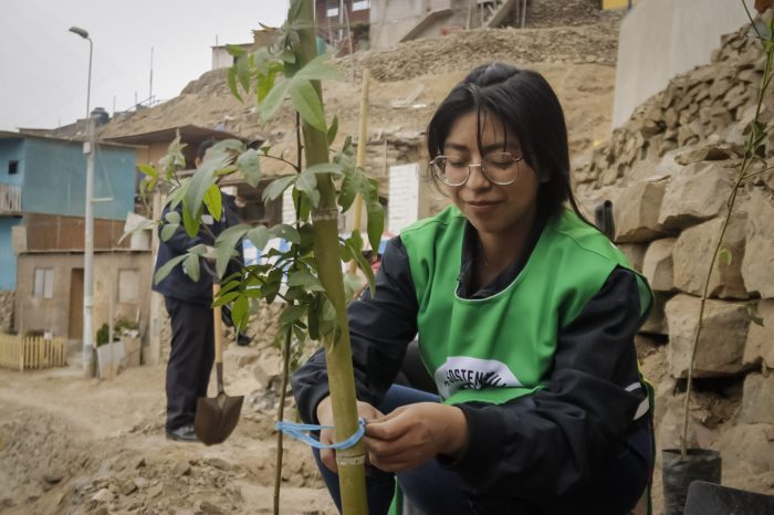 Éxito en la primera jornada de arborización con la Municipalidad de Lima