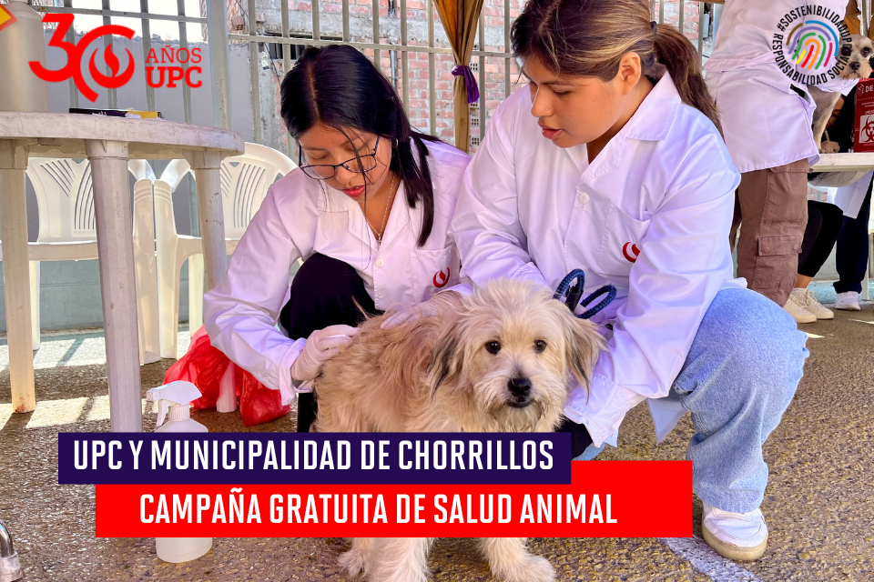 Campaña gratuita de salud animal: UPC y Municipalidad de Chorrillos se unen por el bienestar de las mascotas