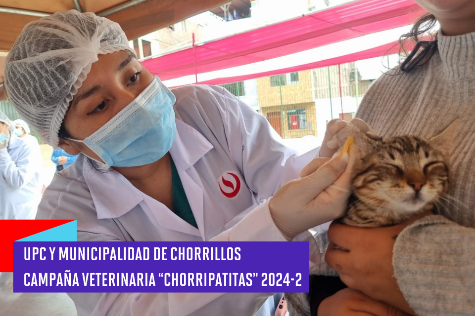 UPC y Municipalidad de Chorrillos: Campaña Veterinaria “Chorripatitas” 2024-2